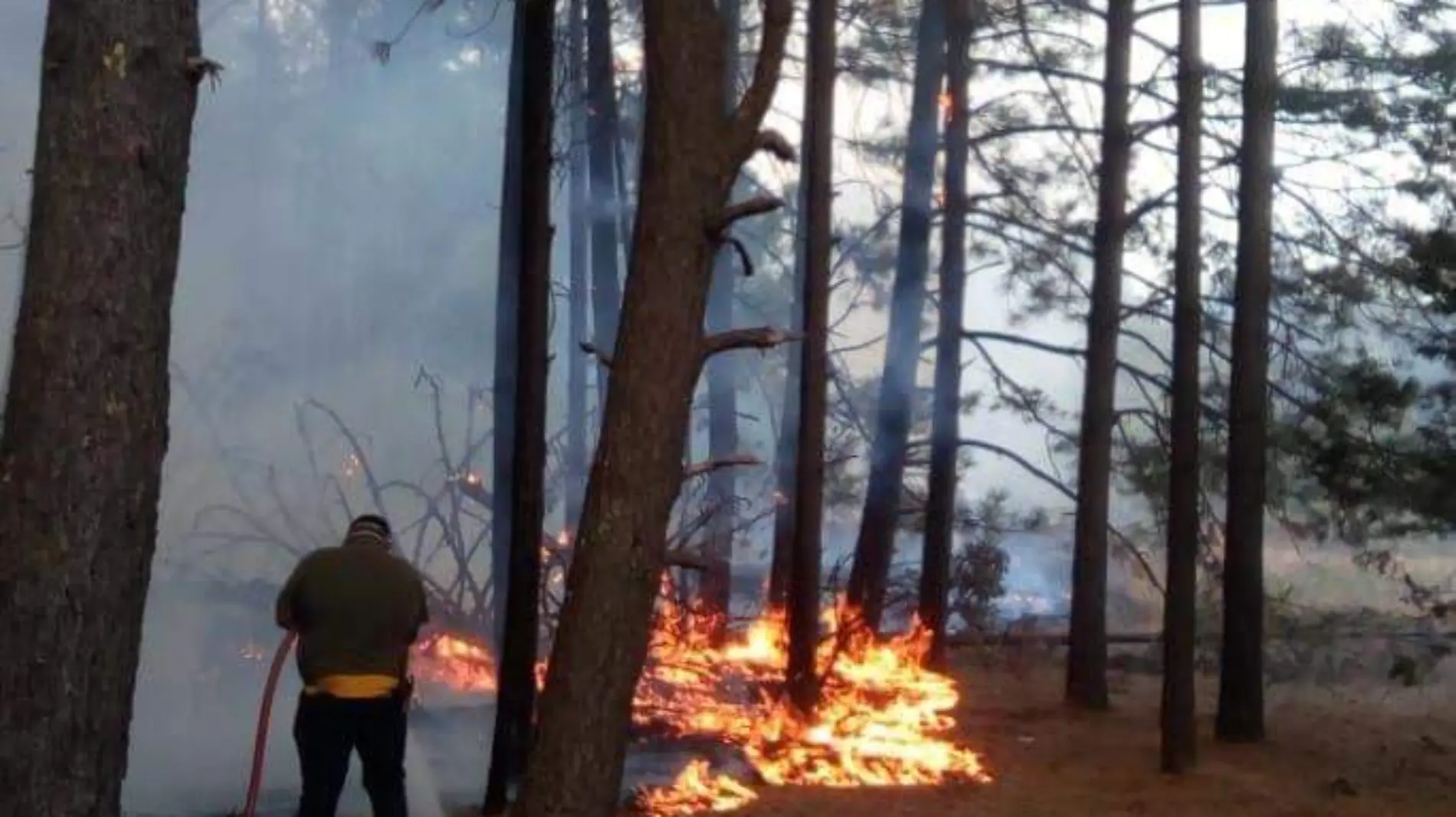 Incendio Forestal